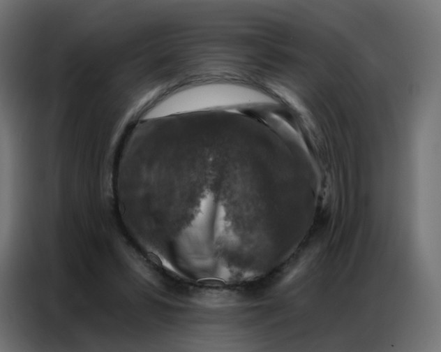 X0000086800399200705041612