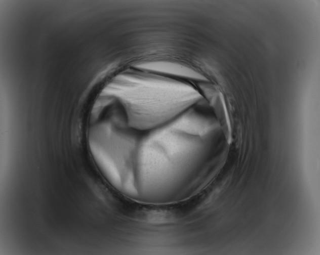 X0000086800400200705041612