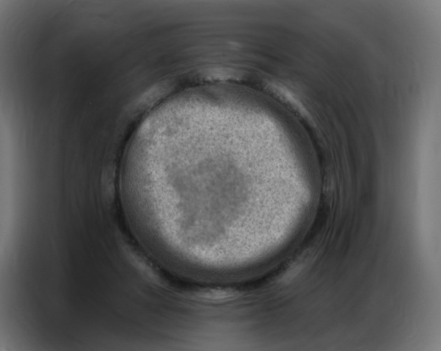 X0000086800402200705041612