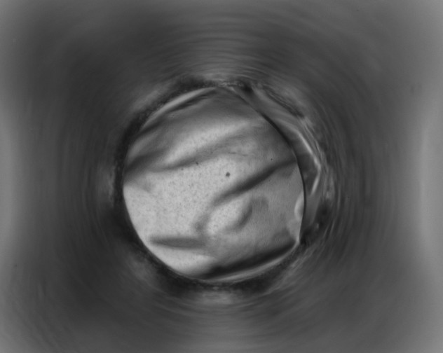 X0000086800404200705041612