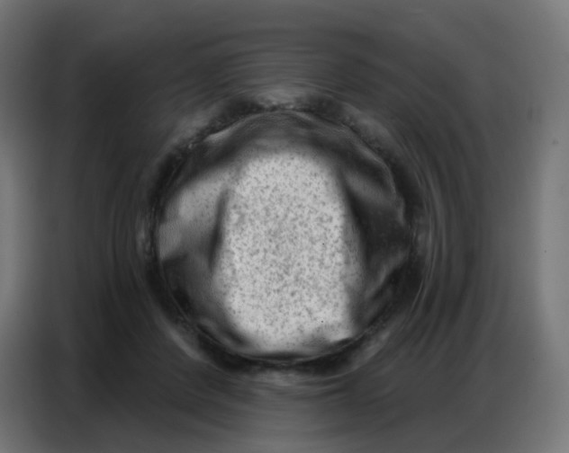 X0000086800408200705041612