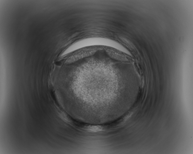 X0000086800409200705041612