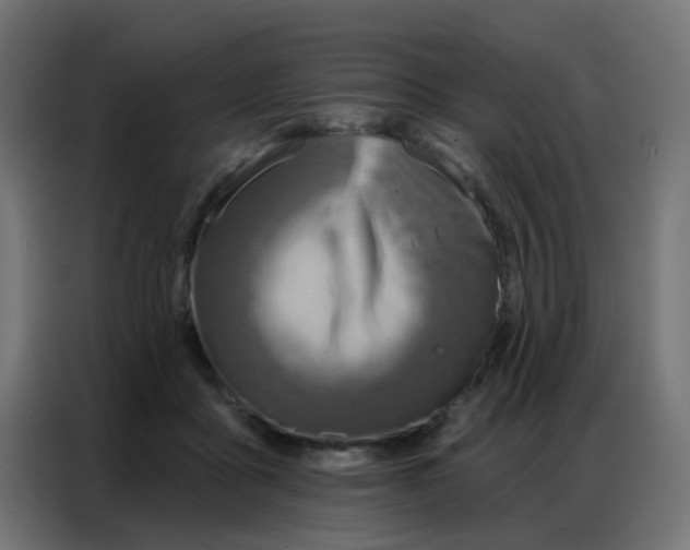 X0000086800411200705041612