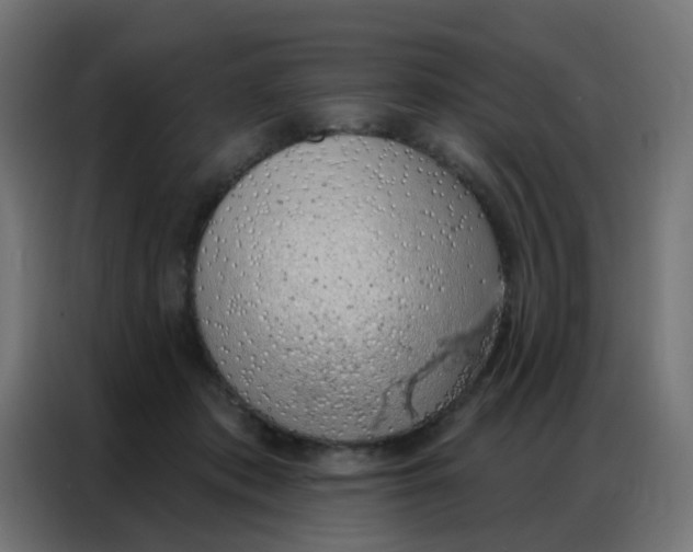 X0000086800413200705041612