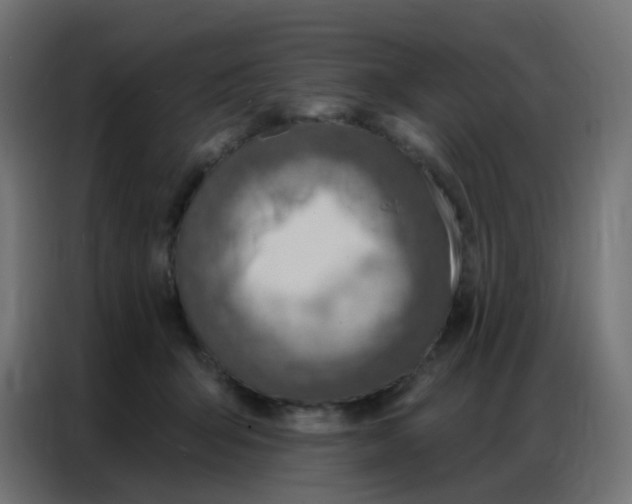 X0000086800415200705041612