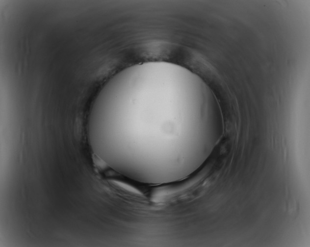 X0000086800416200705041612