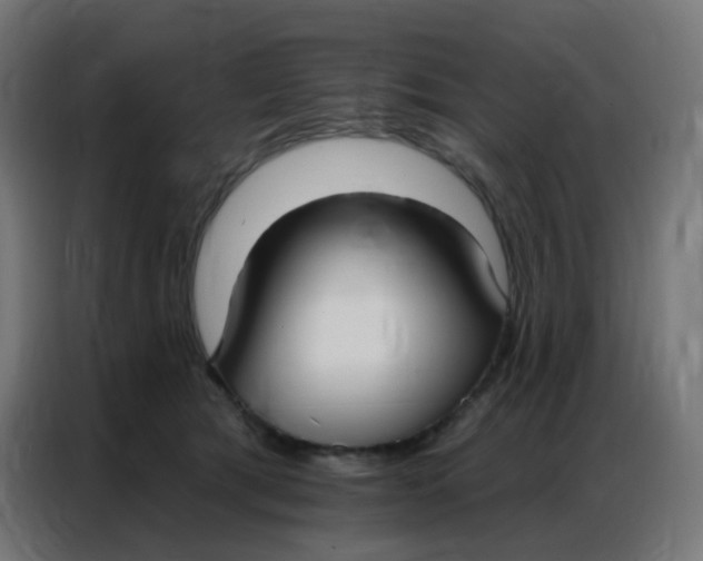 X0000086800417200705041612