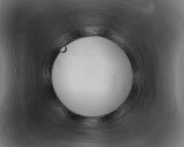 X0000086800418200705041612