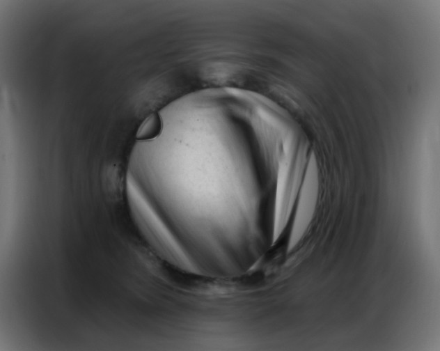 X0000086800420200705041612