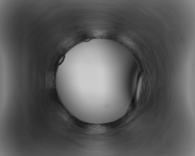 X0000086800421200705041612