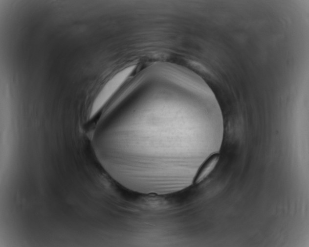 X0000086800424200705041612