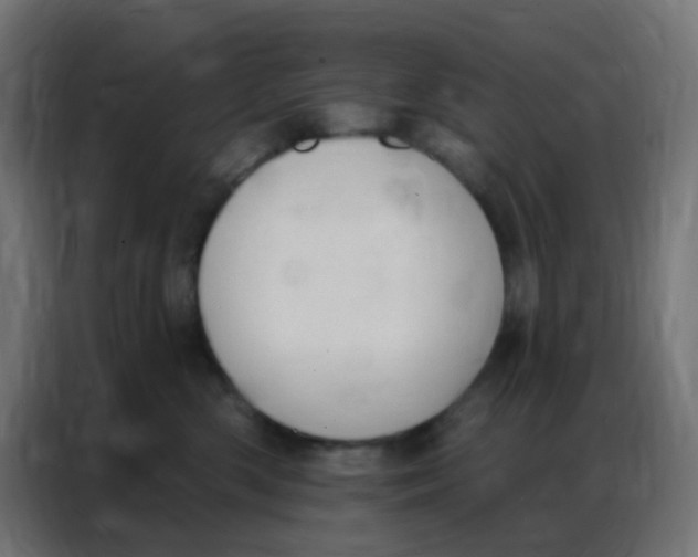 X0000086800426200705041612