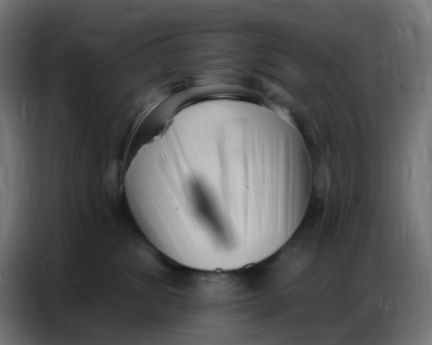 X0000086800428200705041612