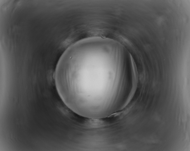 X0000086800429200705041612