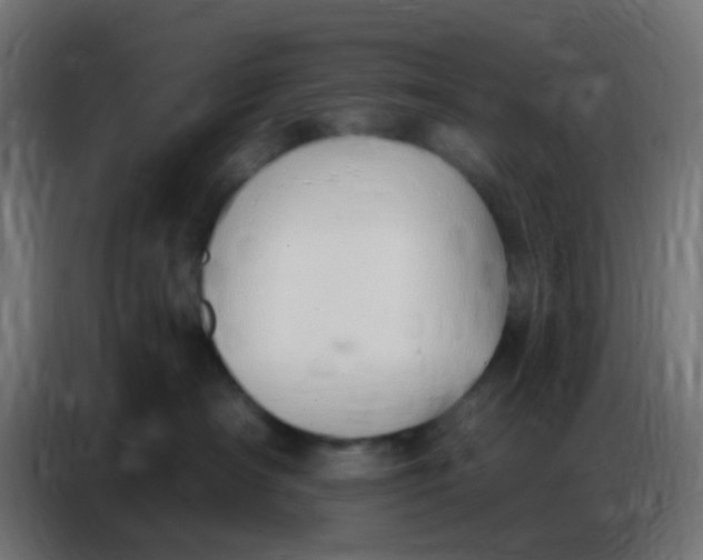 X0000086800430200705041612