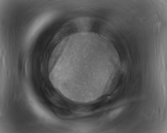 X0000086800431200705041612