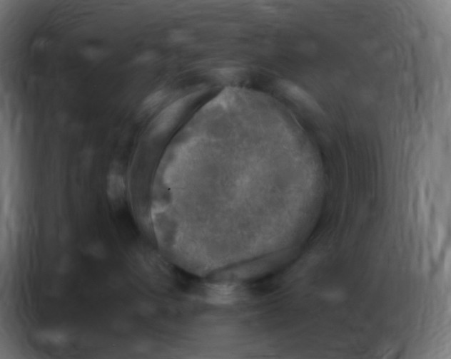 X0000086800432200705041612