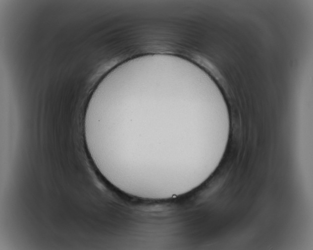 X0000086800433200705041611