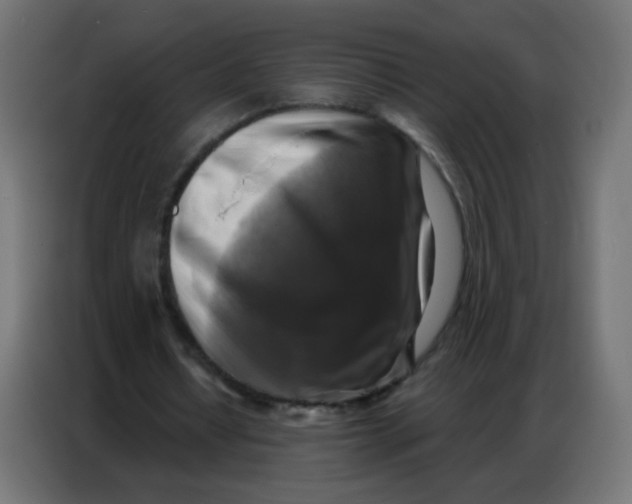 X0000086800434200705041611