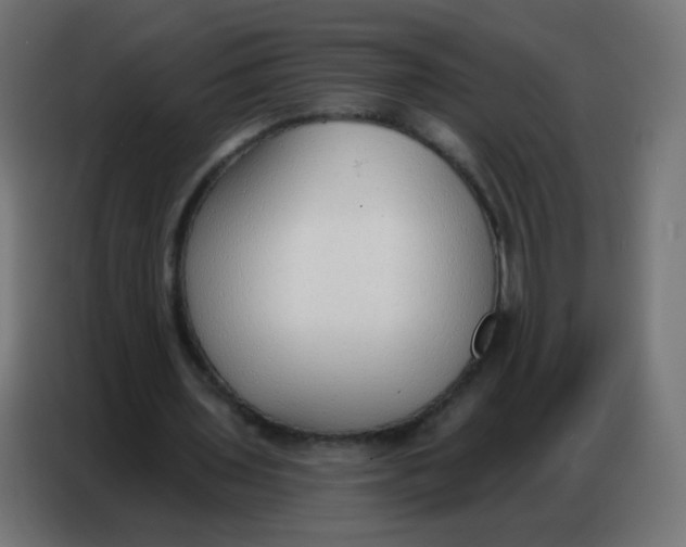 X0000086800435200705041611