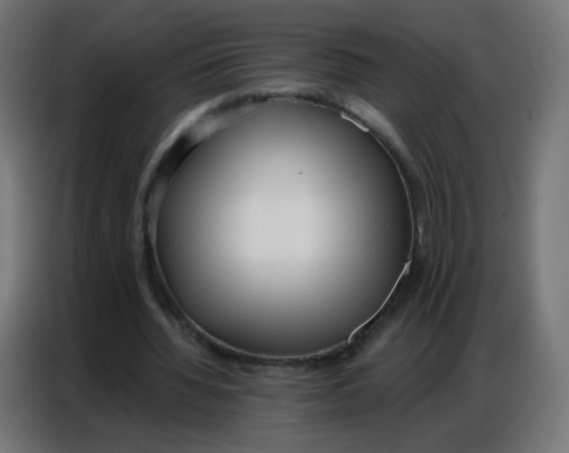 X0000086800436200705041611