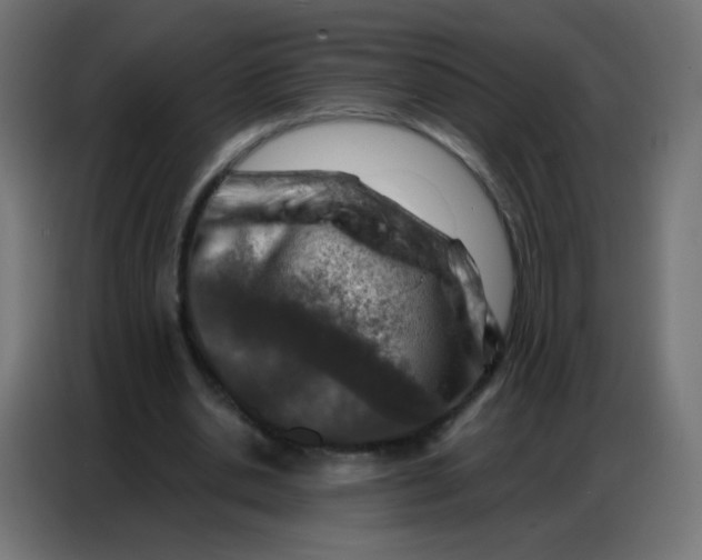 X0000086800438200705041611