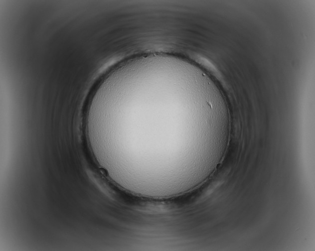 X0000086800439200705041611