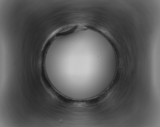 X0000086800440200705041611