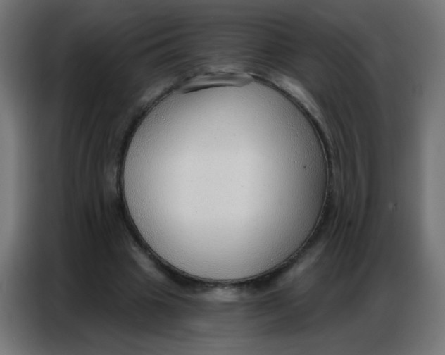 X0000086800441200705041611