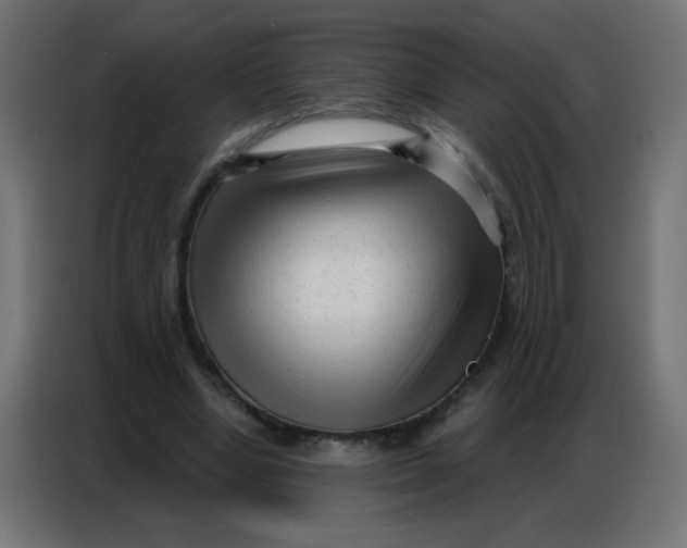 X0000086800442200705041611