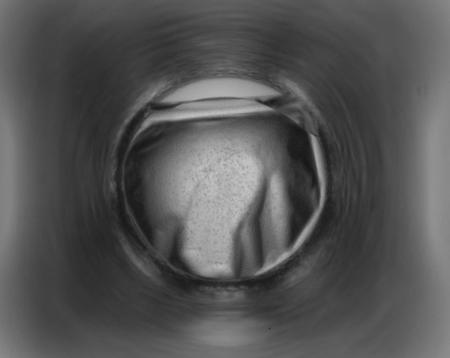 X0000086800443200705041611