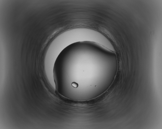 X0000086800444200705041611