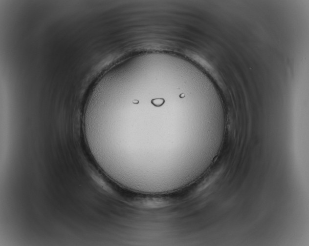 X0000086800445200705041611