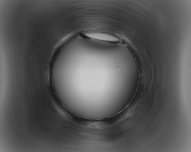 X0000086800446200705041611