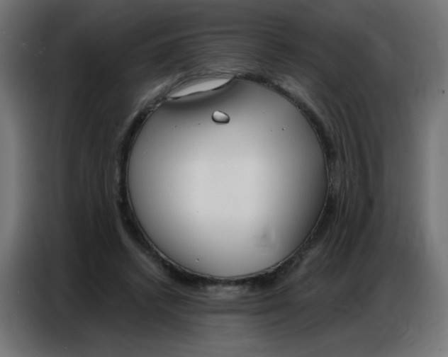 X0000086800448200705041611