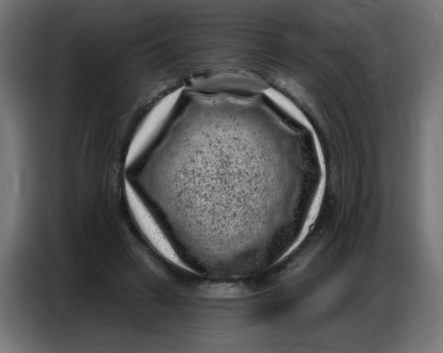 X0000086800449200705041611