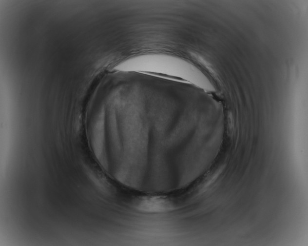 X0000086800451200705041611