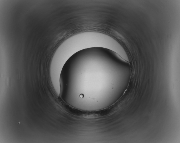 X0000086800452200705041611