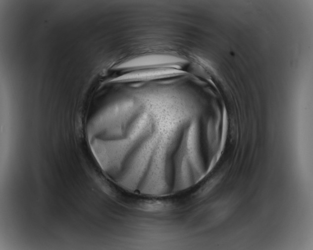 X0000086800453200705041611