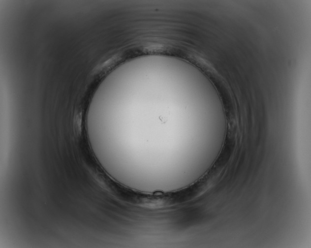 X0000086800454200705041611