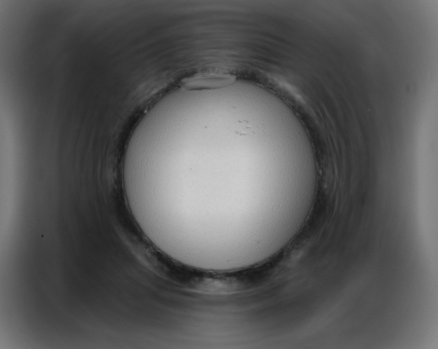 X0000086800455200705041611