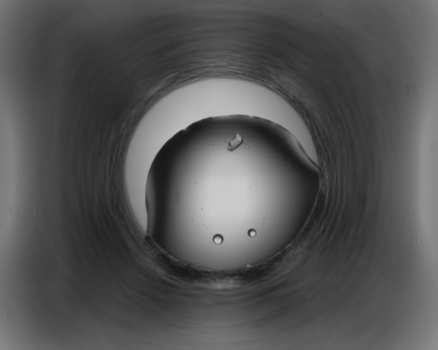 X0000086800456200705041611