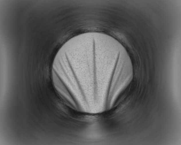 X0000086800457200705041611