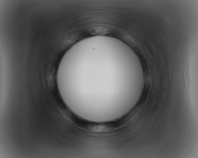 X0000086800460200705041611