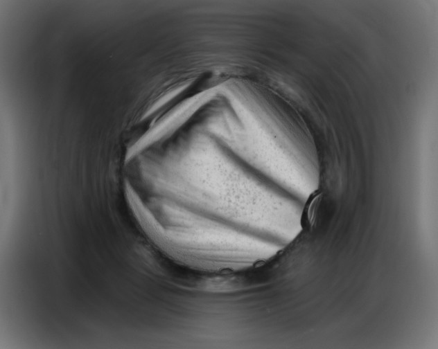 X0000086800461200705041612