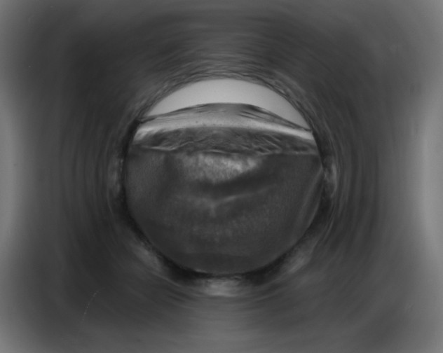 X0000086800462200705041612