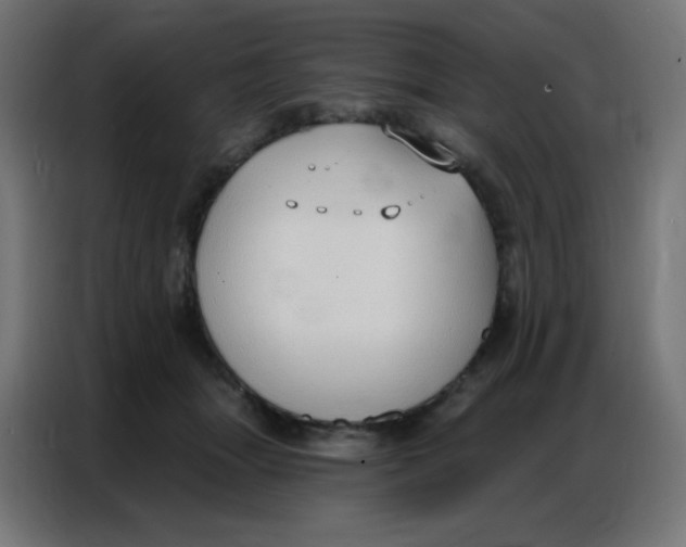 X0000086800463200705041612