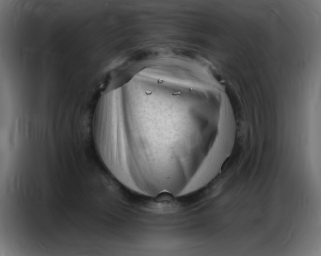 X0000086800466200705041612