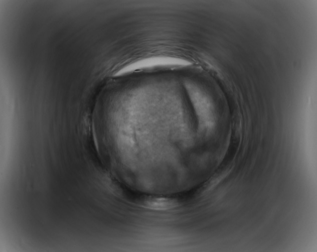 X0000086800467200705041612