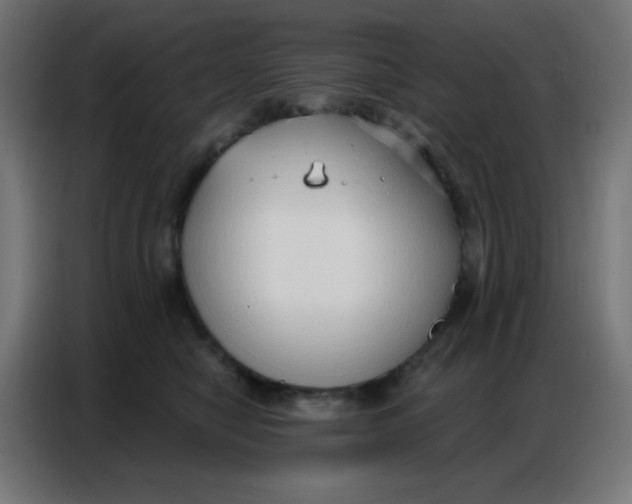 X0000086800470200705041612